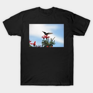 Bolivie - Colibri T-Shirt